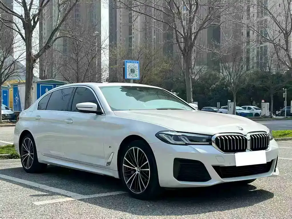BMW 5 Series 2022 из CN, фото 9