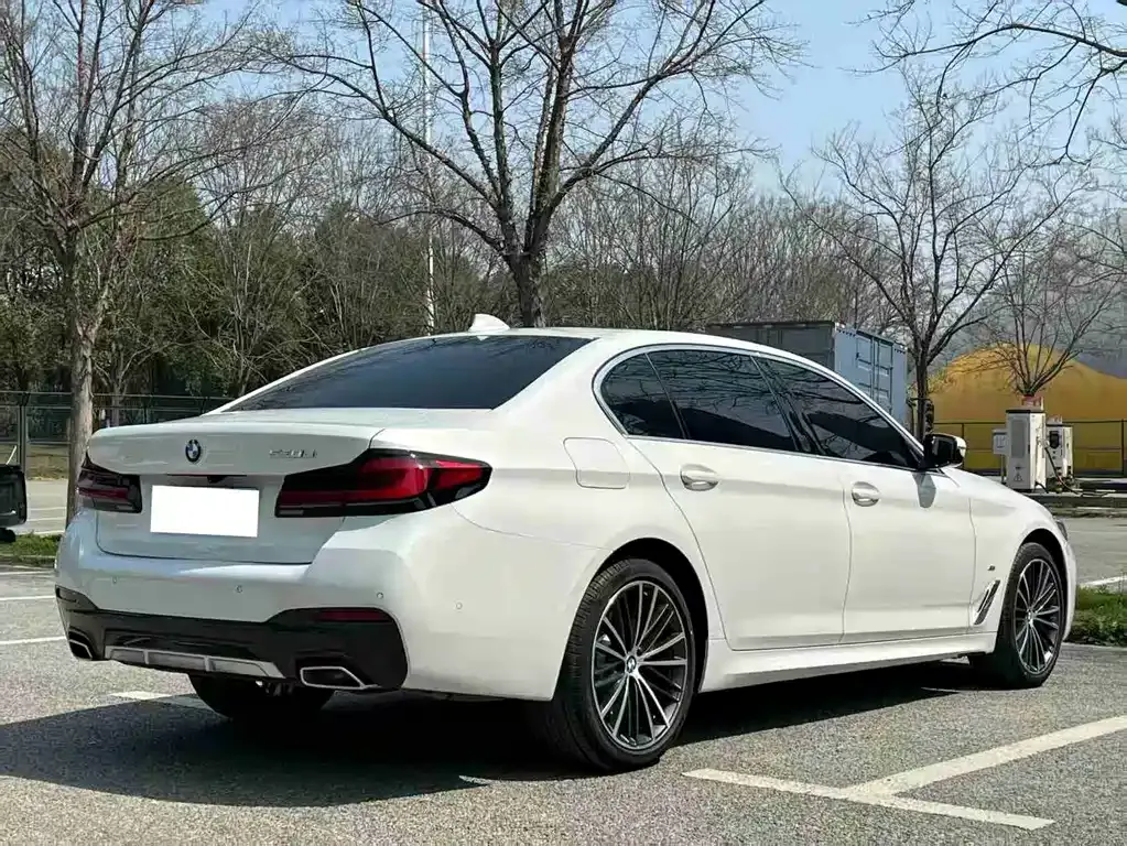 BMW 5 Series 2022 из CN, фото 5
