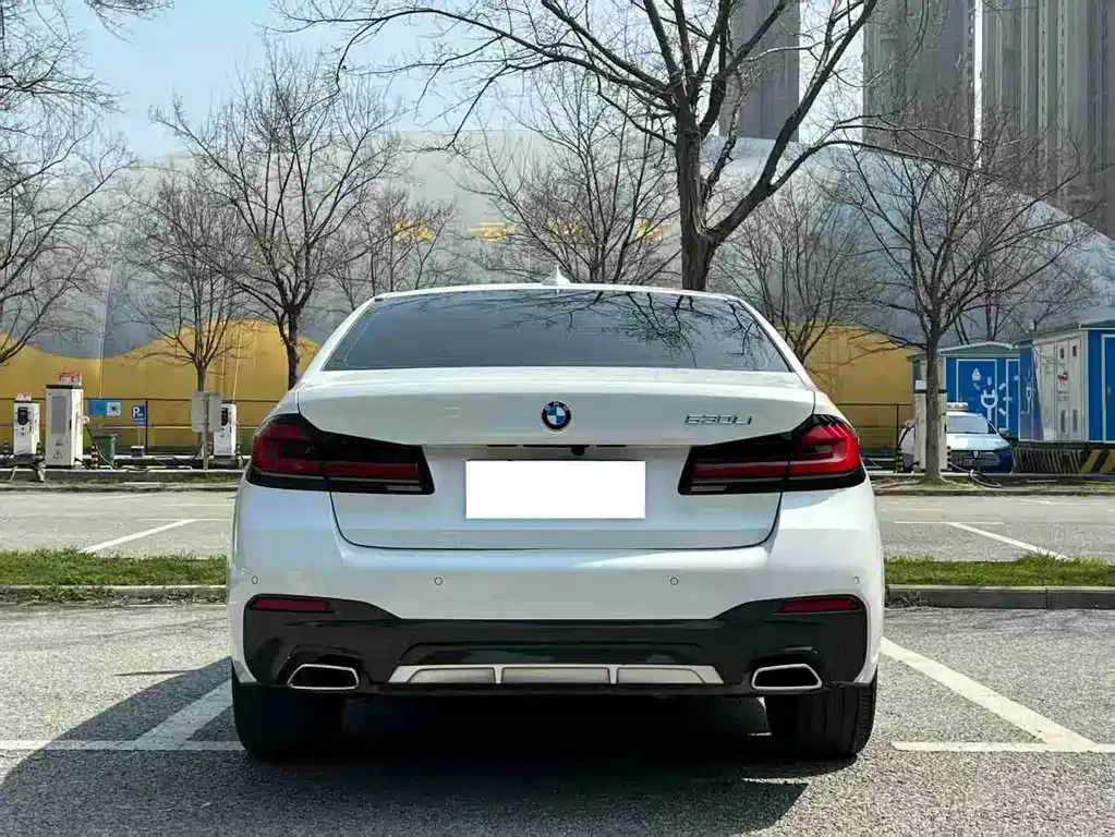 BMW 5 Series 2022 из CN, фото 6