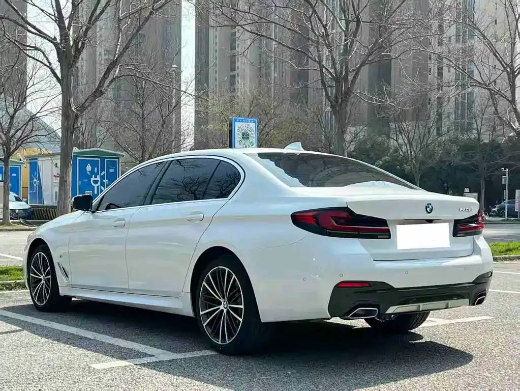 BMW 5 Series 2022 из CN, фото 8