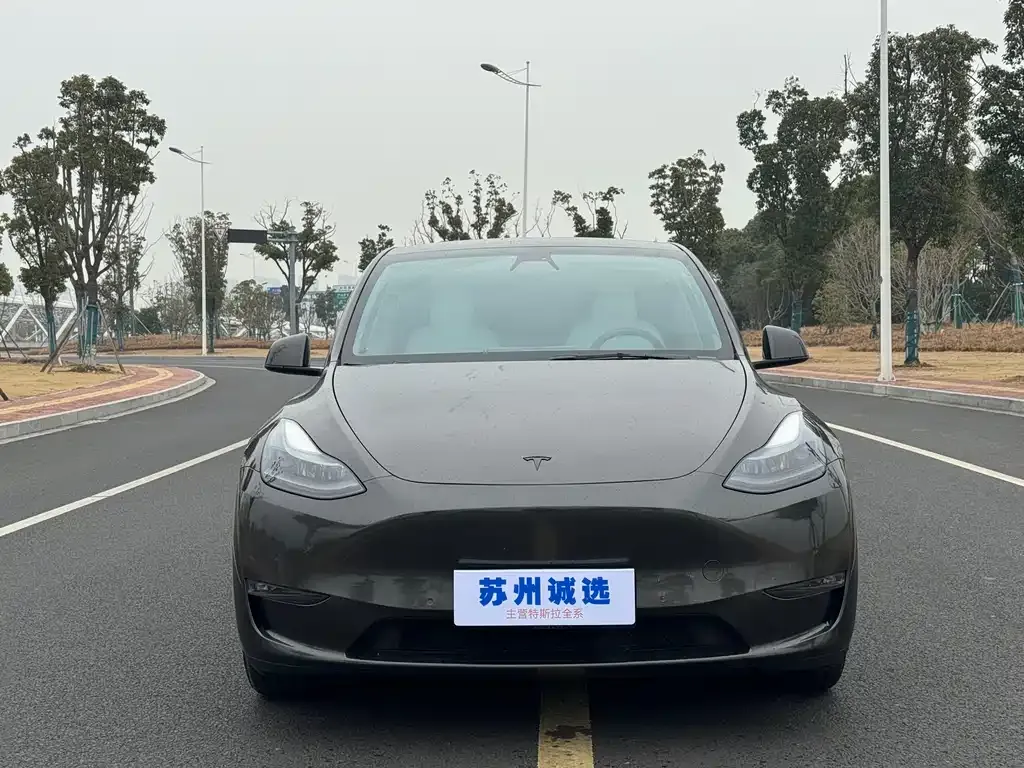 Tesla Model Y — фото 1