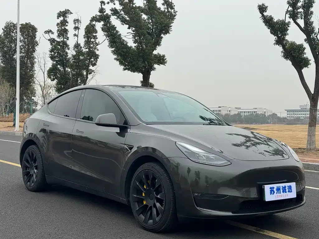 Tesla Model Y — фото 10