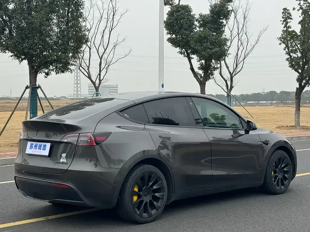 Tesla Model Y — фото 7