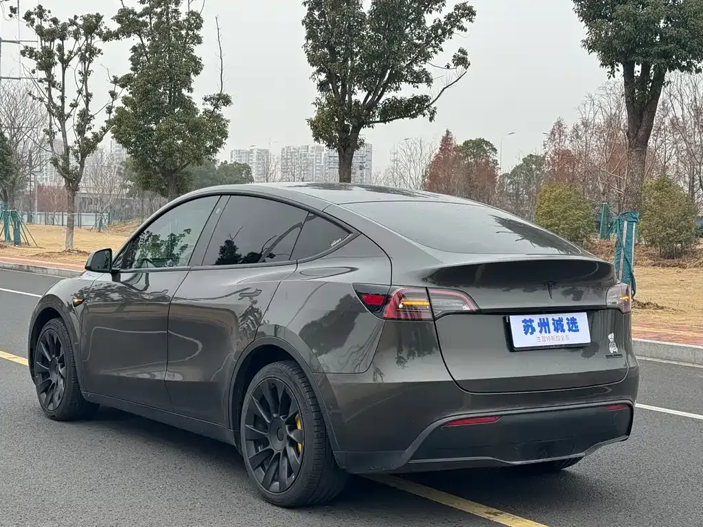 Tesla Model Y — фото 9