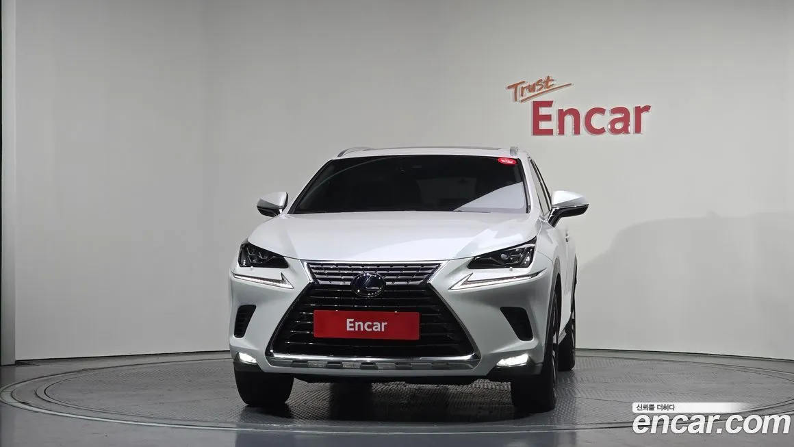 Lexus NX 2021 из KR, фото 4