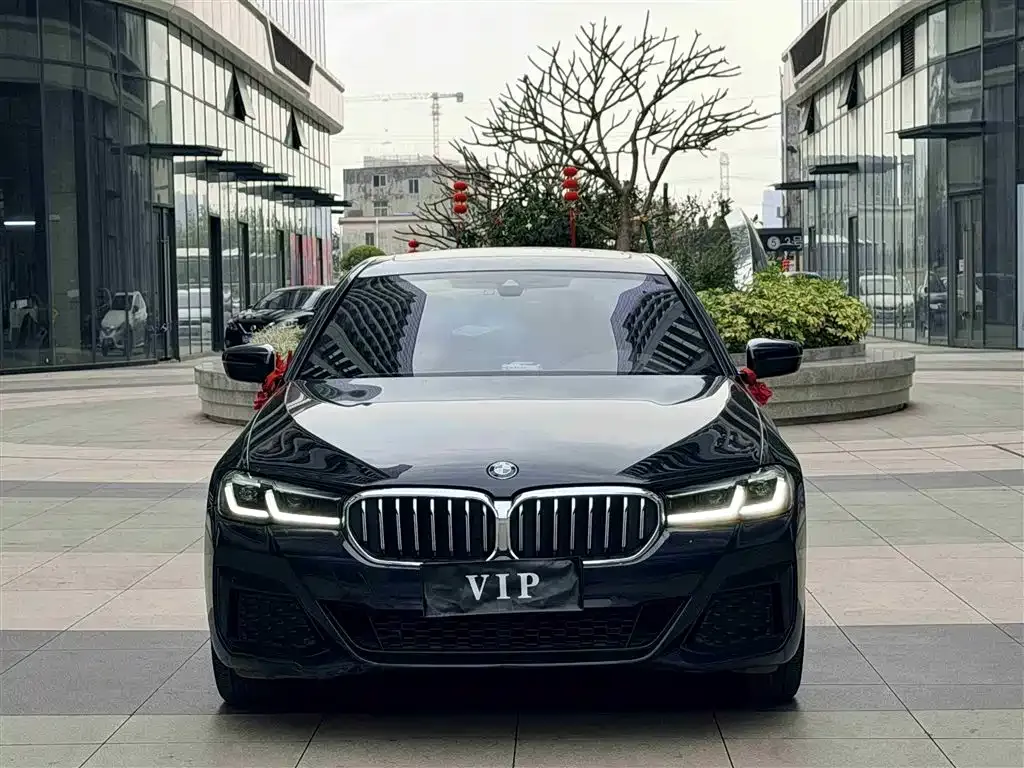 BMW 5 Series 2022 из CN, фото 4