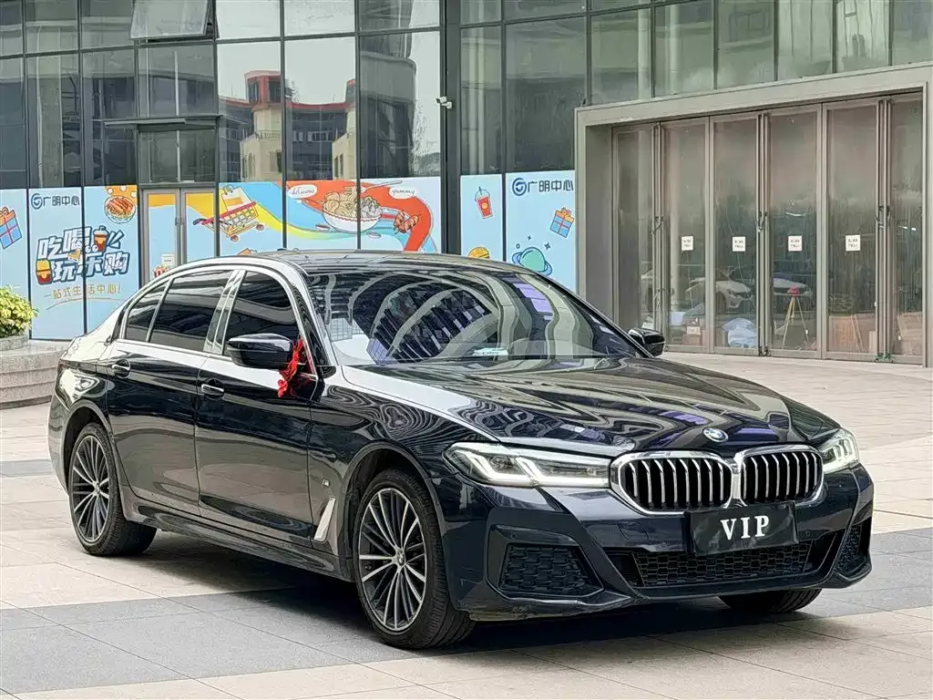 BMW 5 Series 2022 из CN, фото 6
