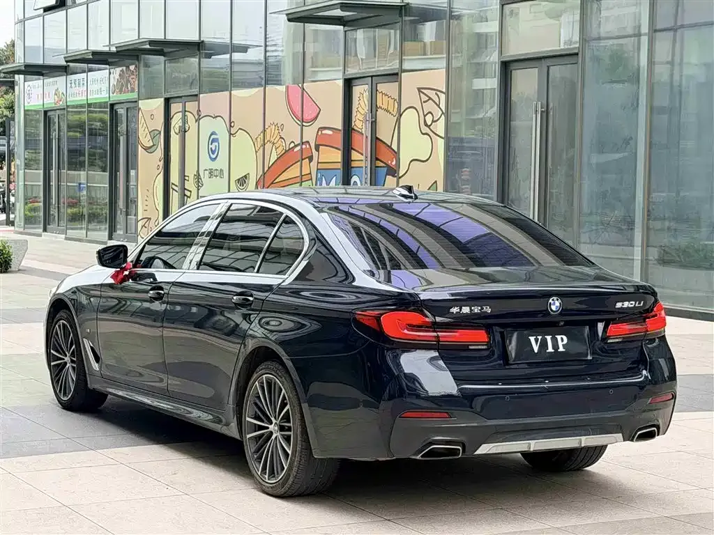 BMW 5 Series 2022 из CN, фото 7