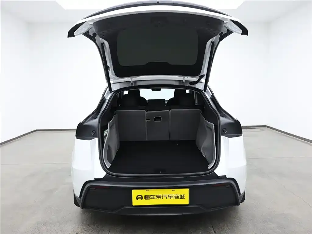 Tesla Model Y — фото 5