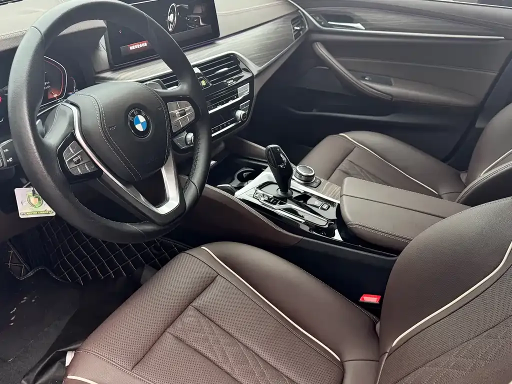 BMW 5 Series 2022 из CN, фото 8