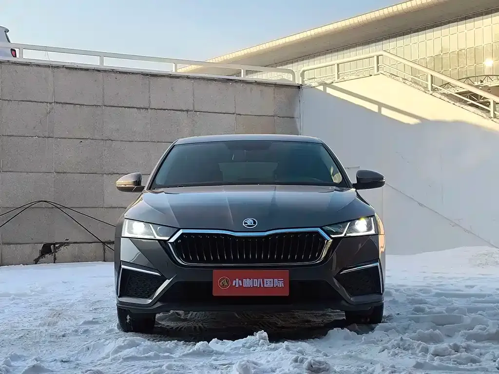 Skoda Octavia 2022 из CN, фото 2