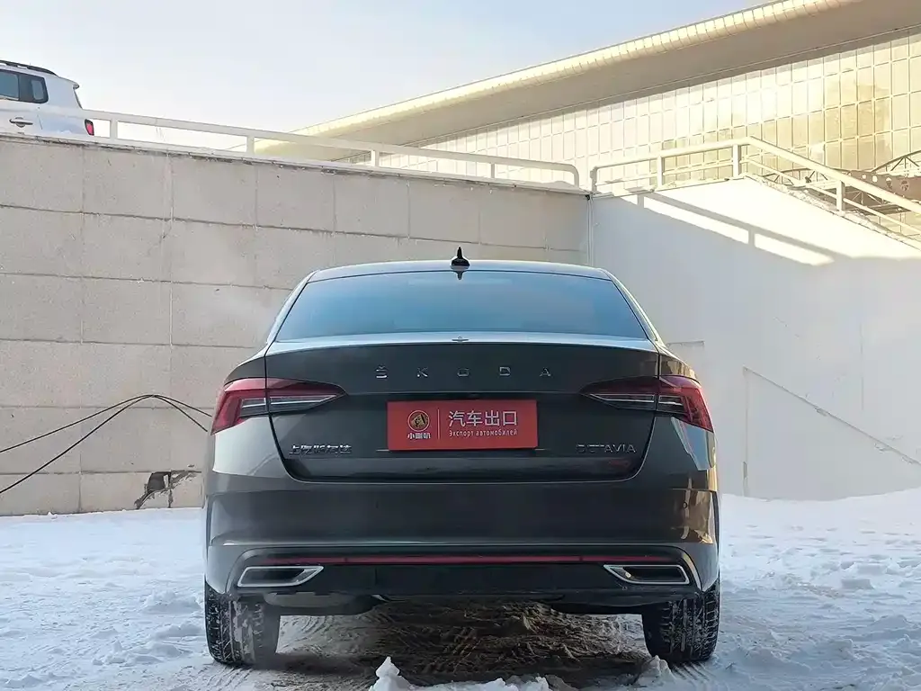 Skoda Octavia 2022 из CN, фото 7