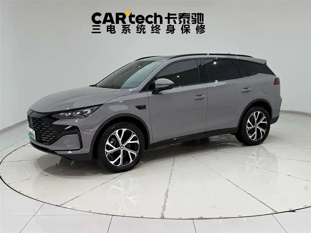 BYD Tang New Energy 2025 из CN, фото 1