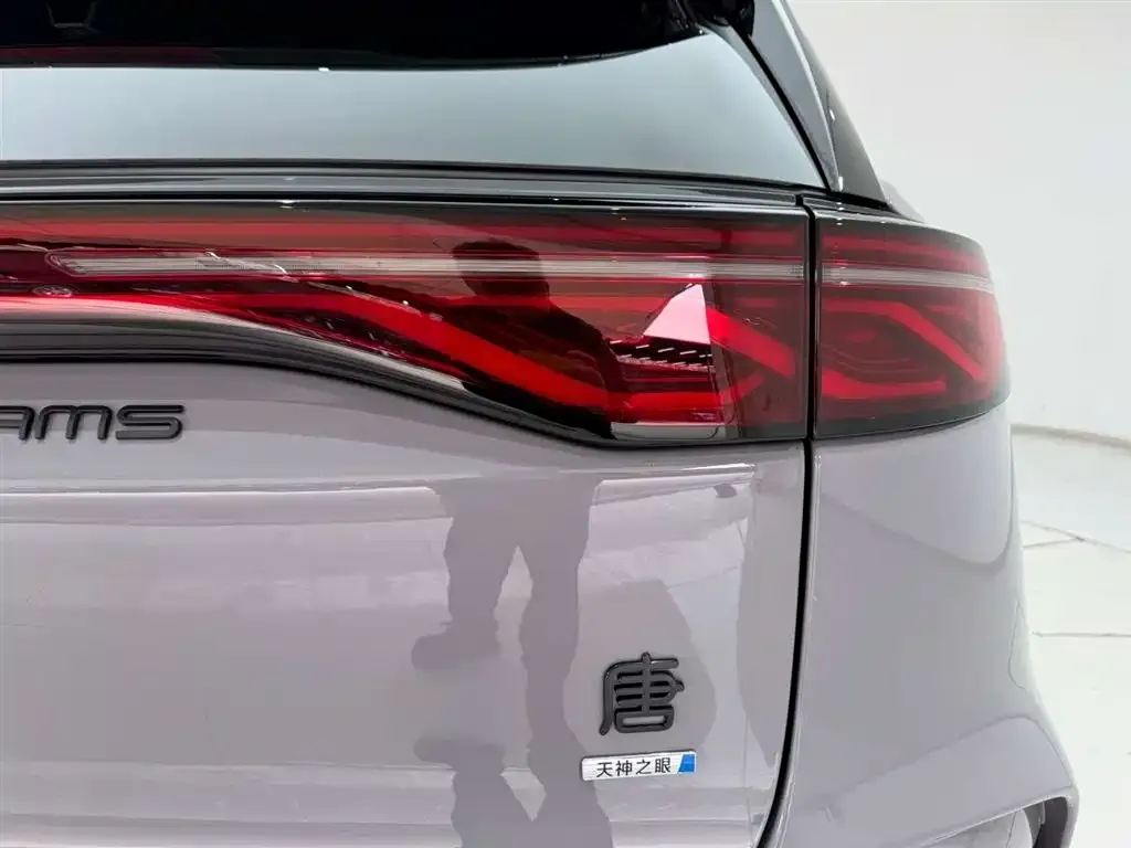 BYD Tang New Energy 2025 из CN, фото 10