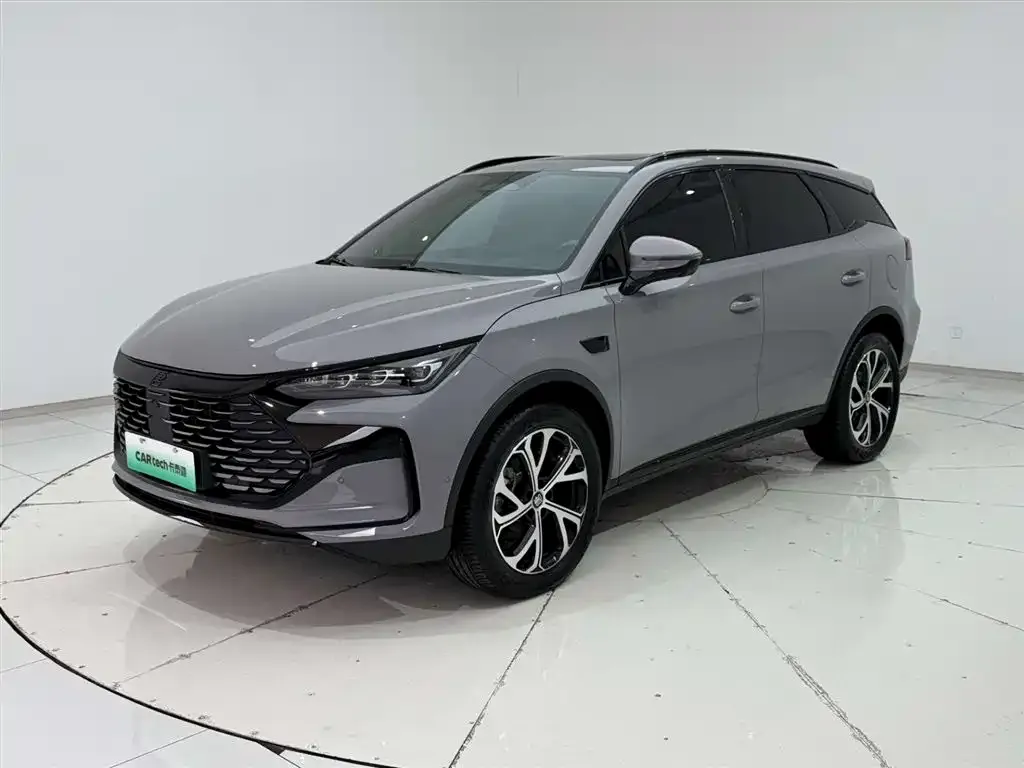 BYD Tang New Energy 2025 из CN, фото 6