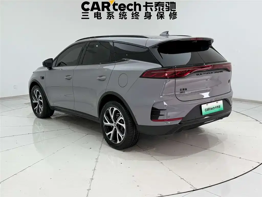 BYD Tang New Energy 2025 из CN, фото 4