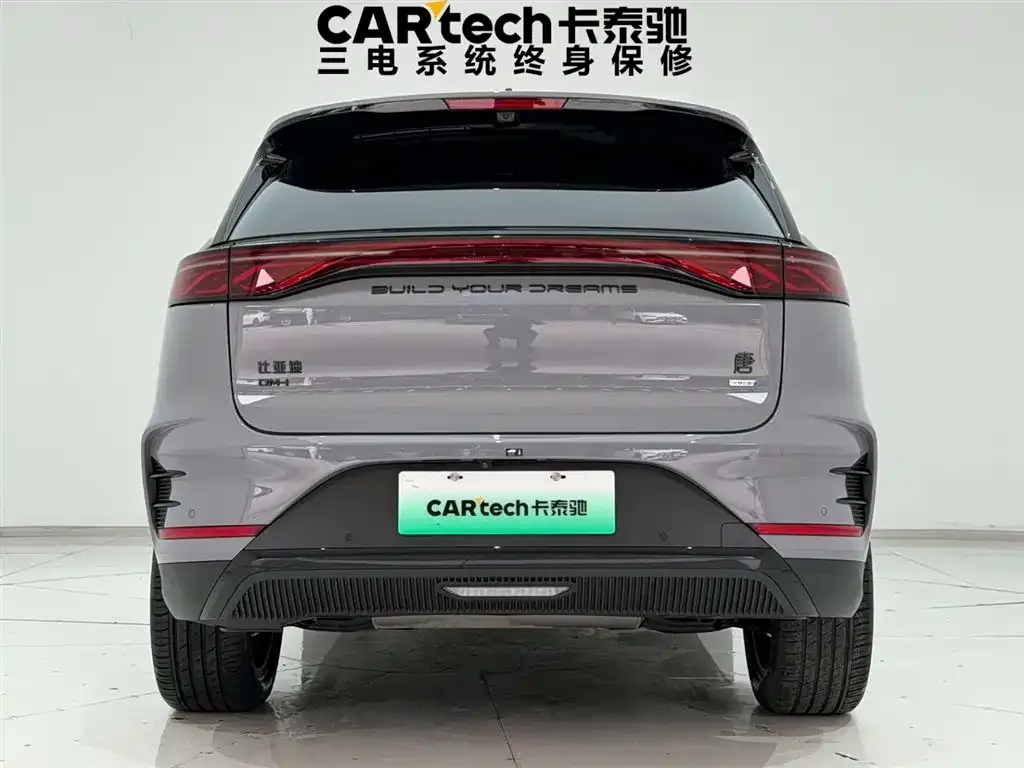 BYD Tang New Energy 2025 из CN, фото 7