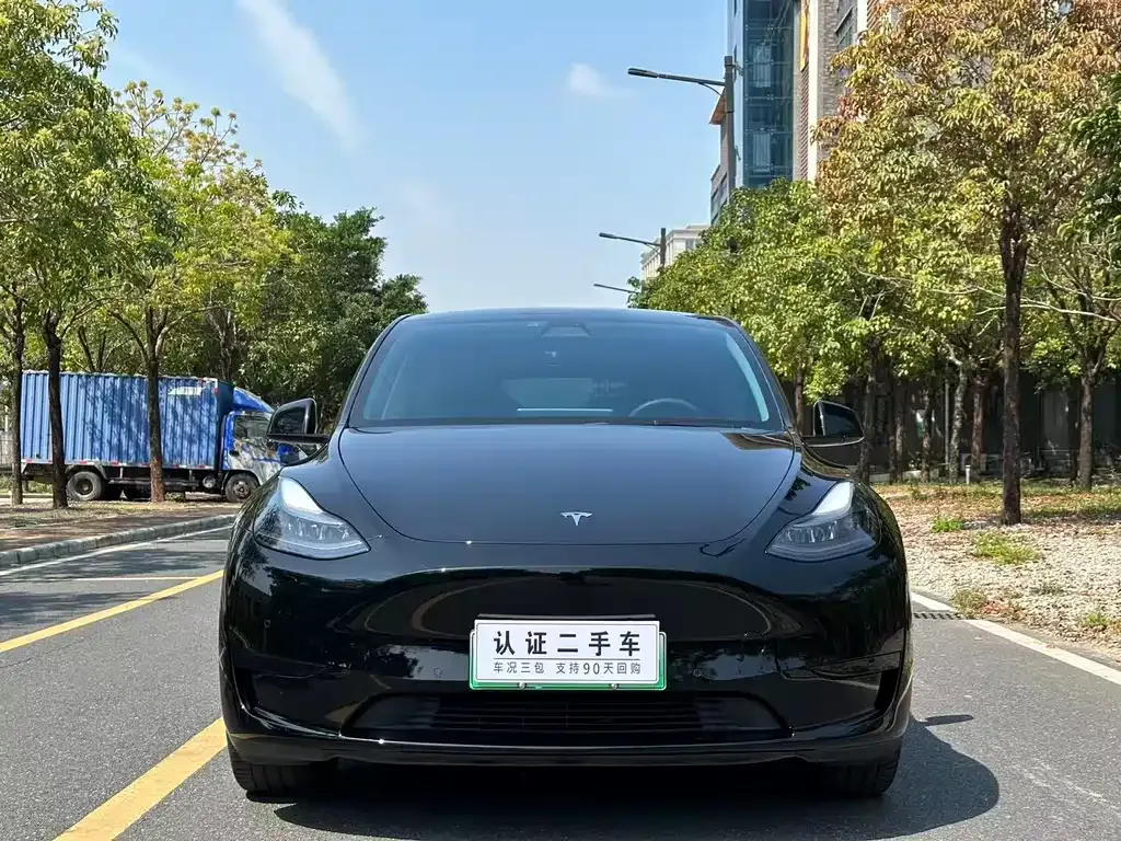Tesla Model Y — фото 6