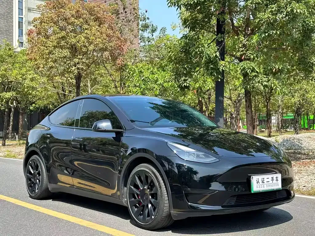 Tesla Model Y — фото 7