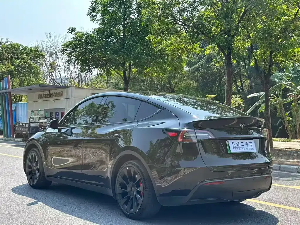 Tesla Model Y — фото 3