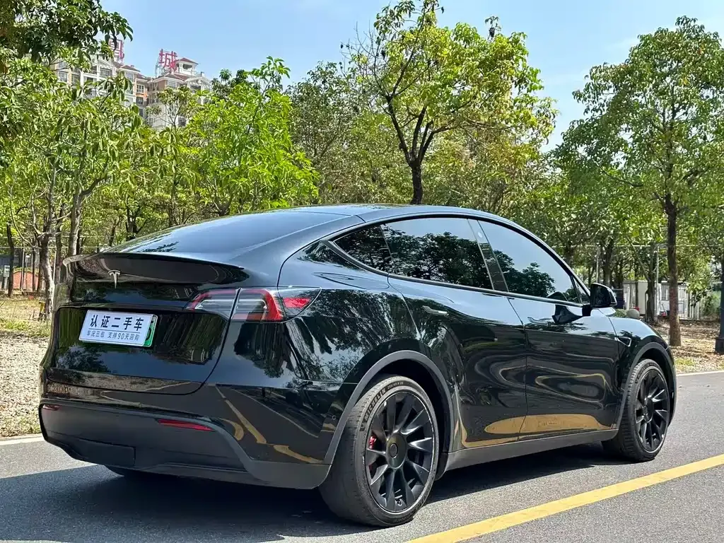 Tesla Model Y — фото 9