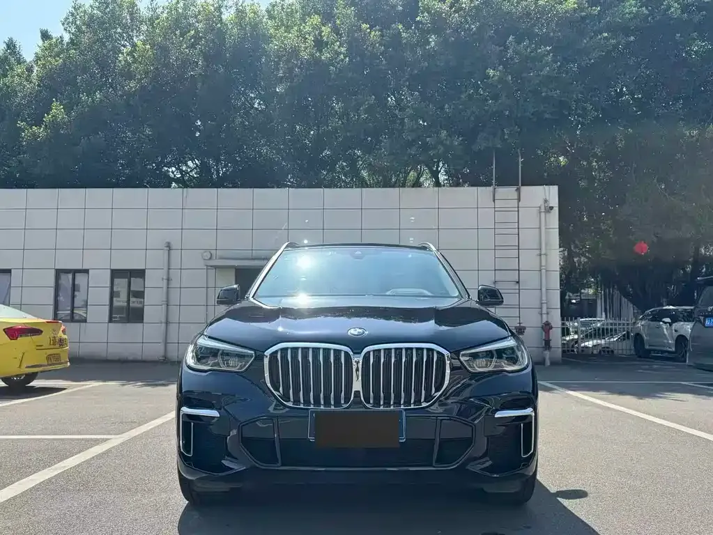 BMW X5 2023 из CN, фото 8
