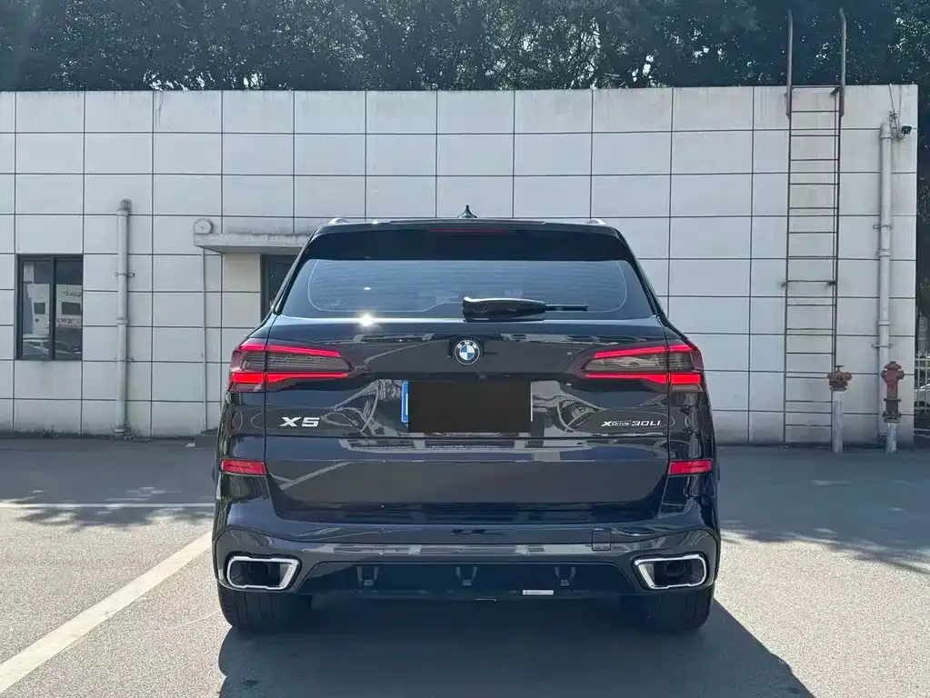 BMW X5 2023 из CN, фото 6