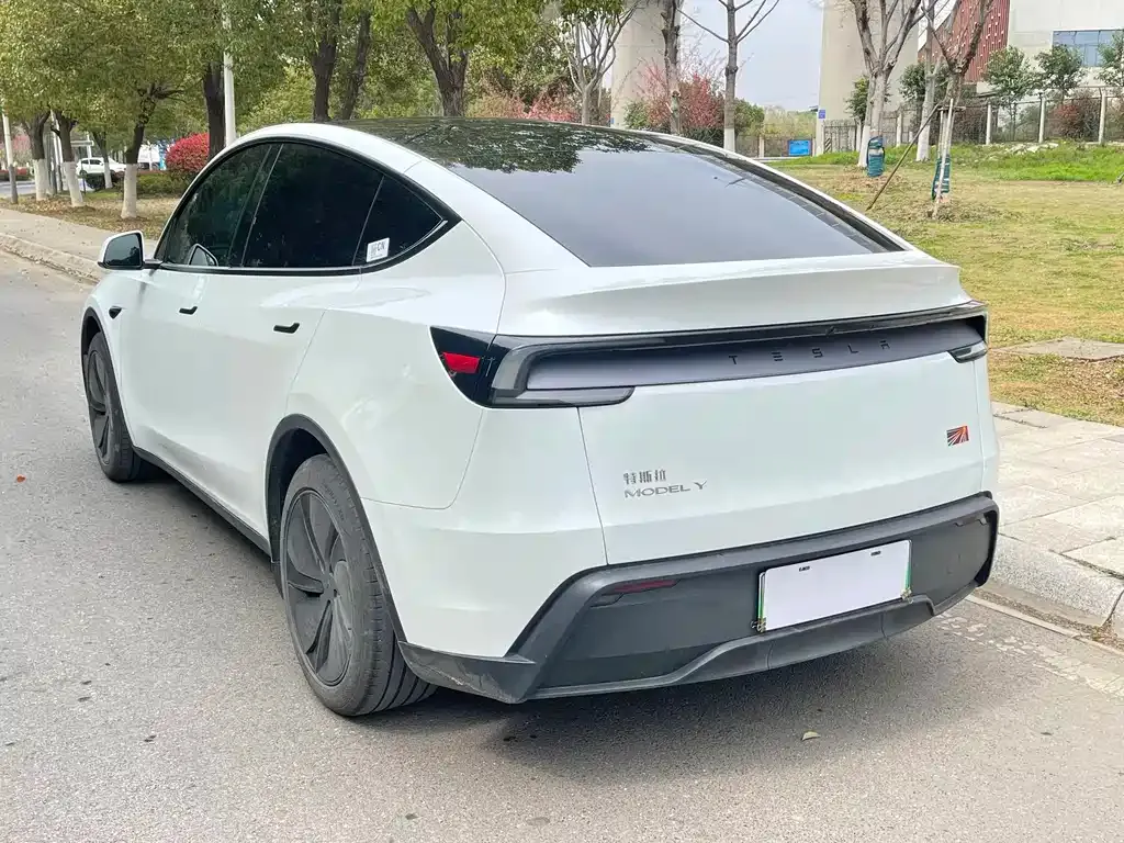 Tesla Model Y — фото 6