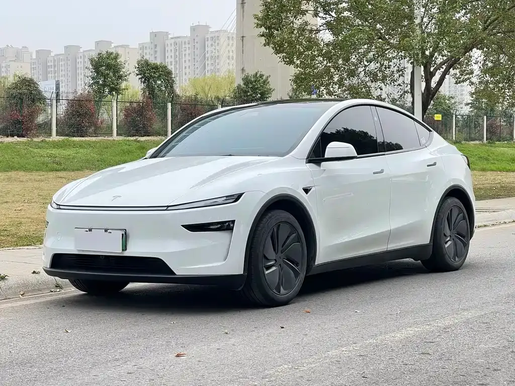 Tesla Model Y — фото 7