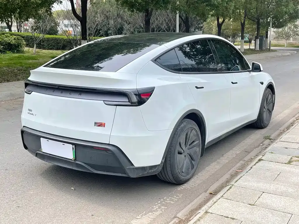 Tesla Model Y — фото 5