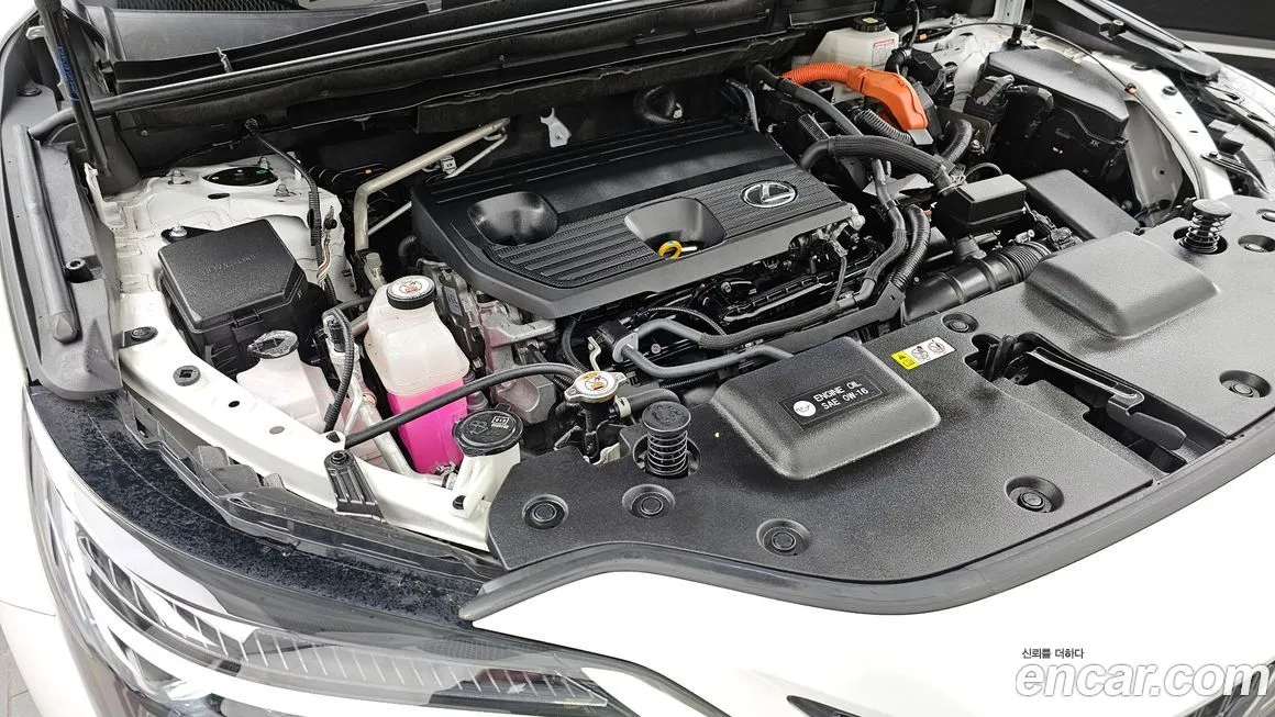 Lexus NX 2024 из KR, фото 9