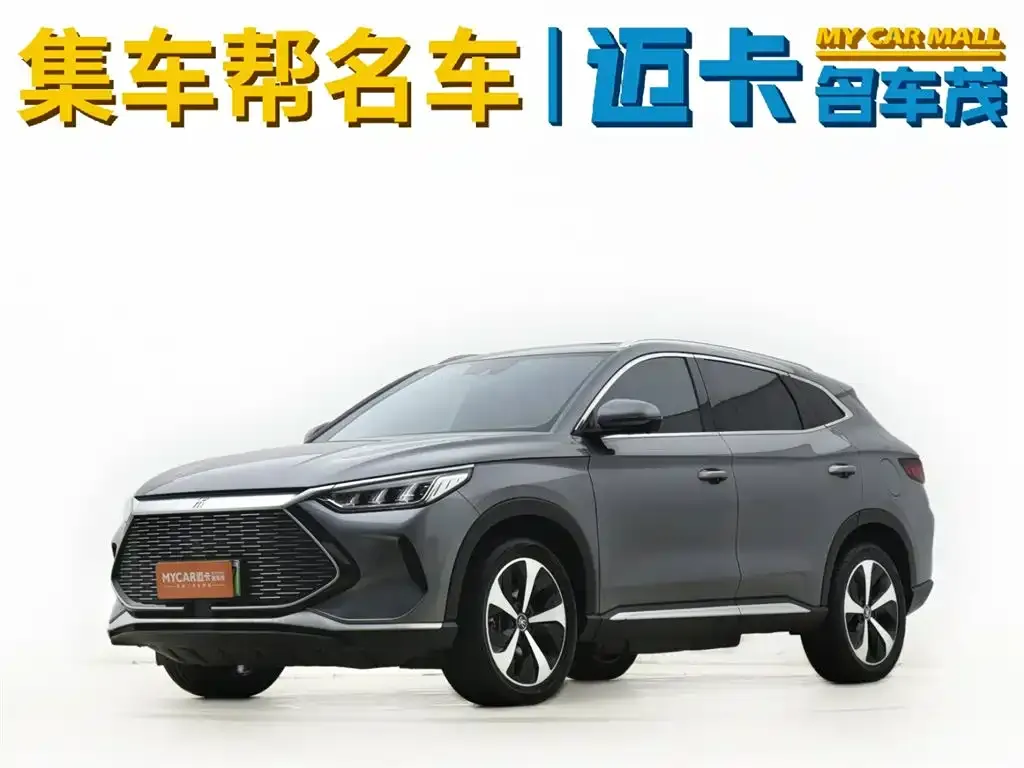 BYD PLUS New Energy 2023 из CN, фото 1