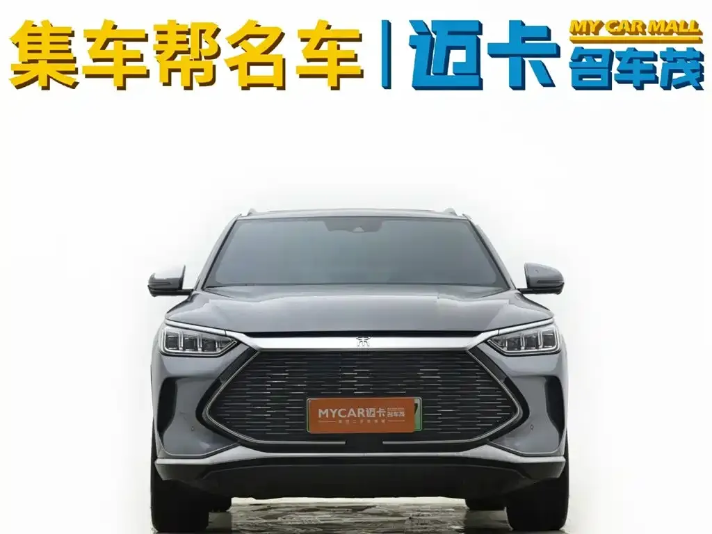 BYD PLUS New Energy 2023 из CN, фото 8