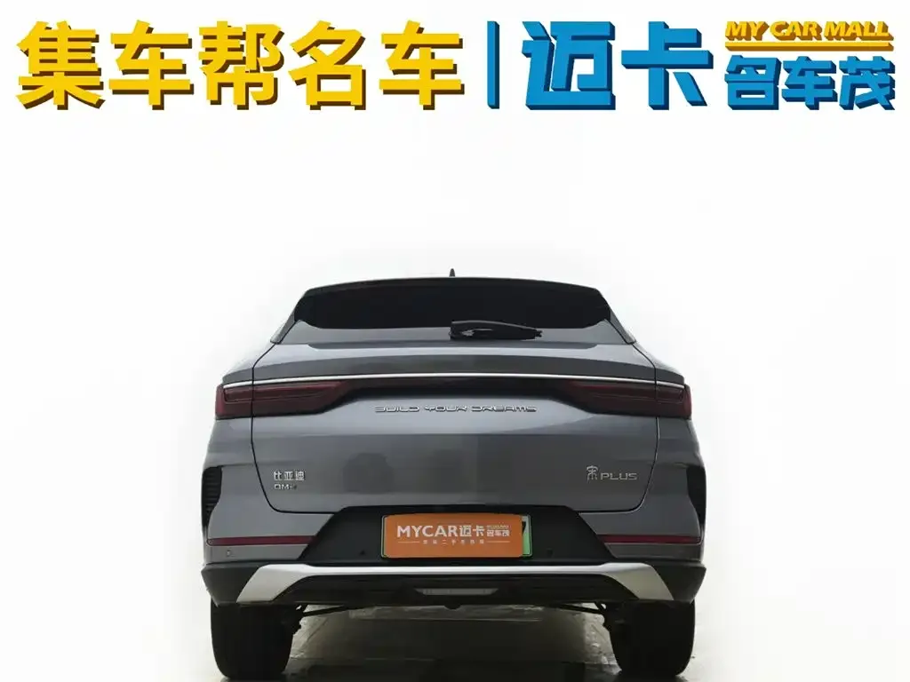 BYD PLUS New Energy 2023 из CN, фото 7
