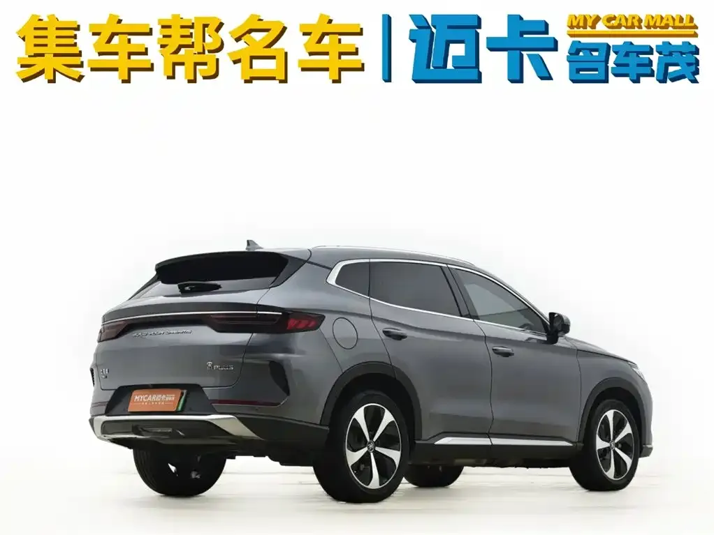 BYD PLUS New Energy 2023 из CN, фото 5