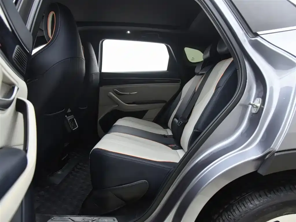 BYD PLUS New Energy 2023 из CN, фото 4