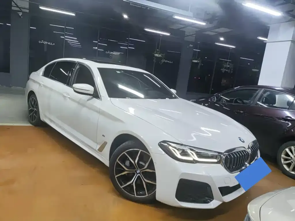 BMW 5 Series 2023 из CN, фото 7