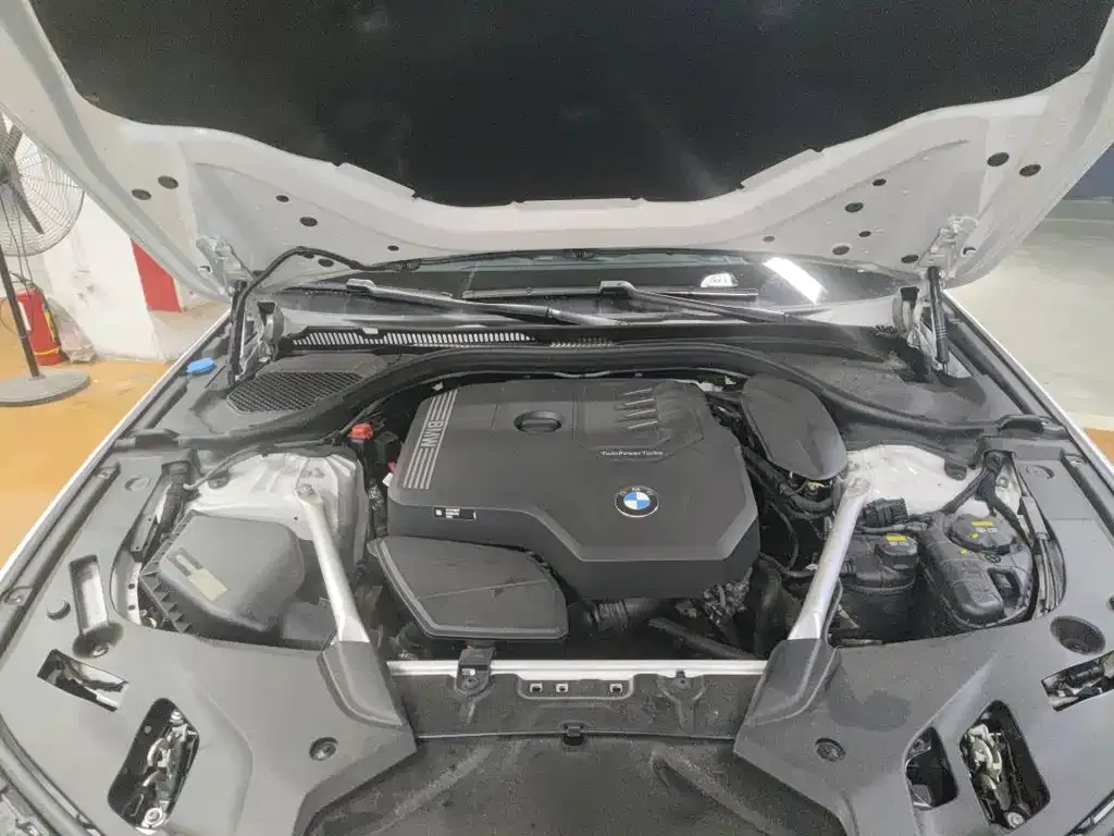 BMW 5 Series 2023 из CN, фото 8
