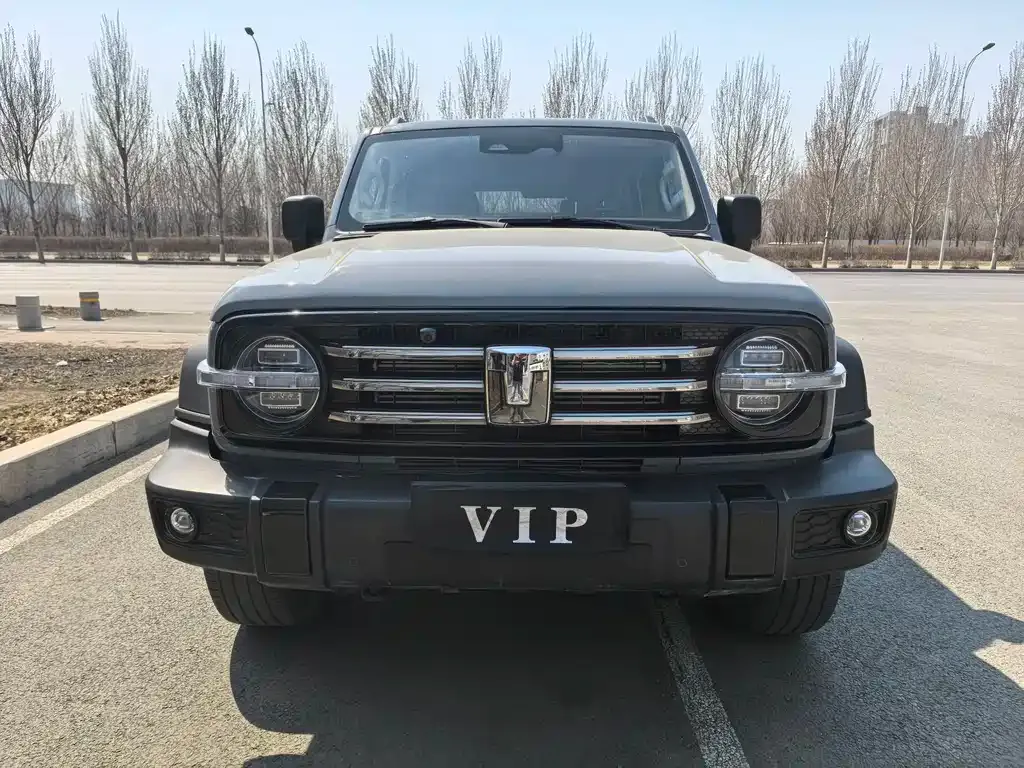 Tank 300 2025 из CN, фото 3