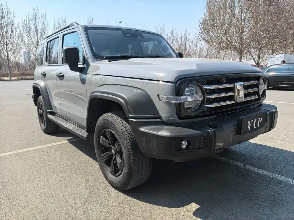 Tank 300 2025 из CN, фото 2