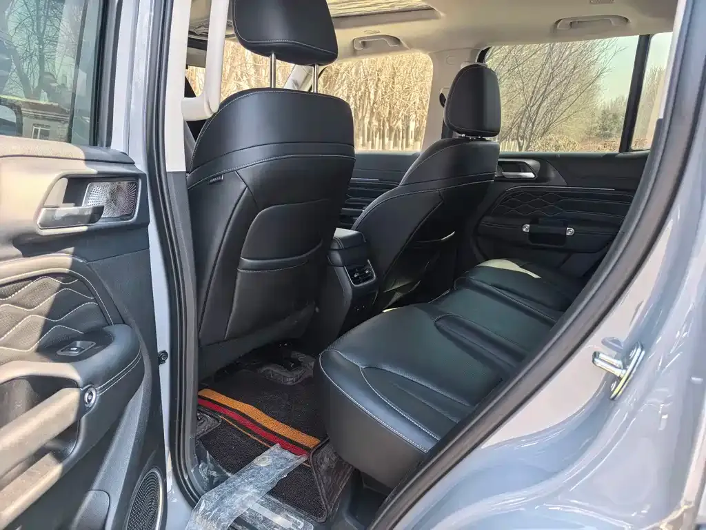 Tank 300 2025 из CN, фото 5