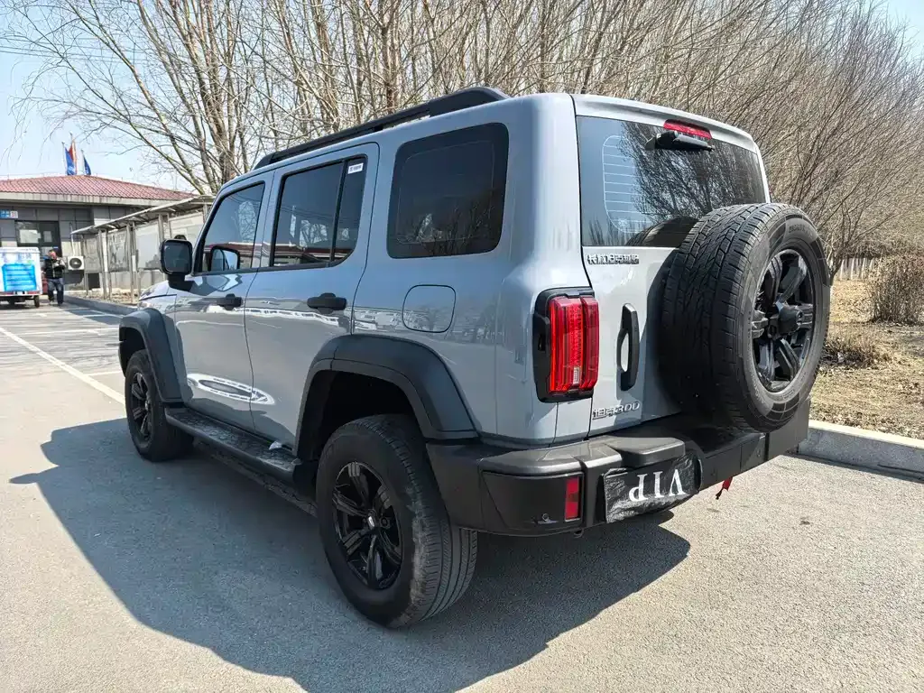 Tank 300 2025 из CN, фото 10