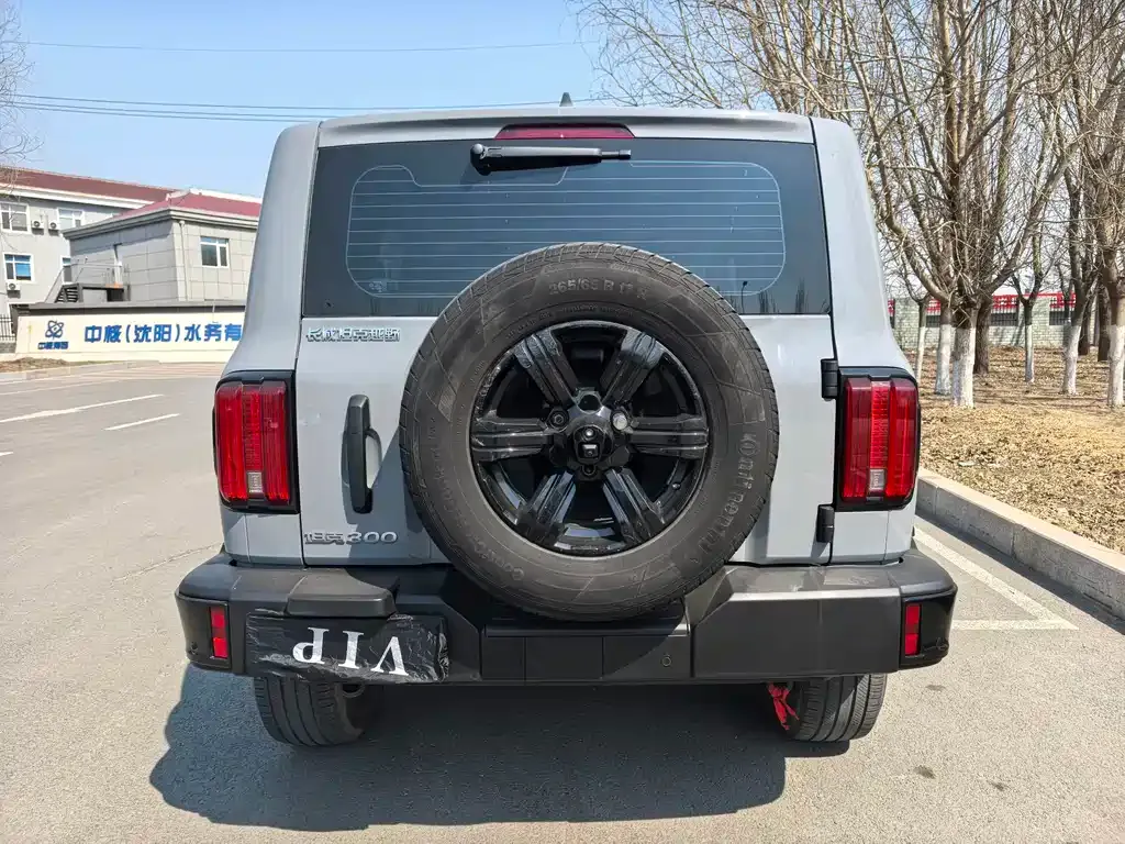 Tank 300 2025 из CN, фото 8