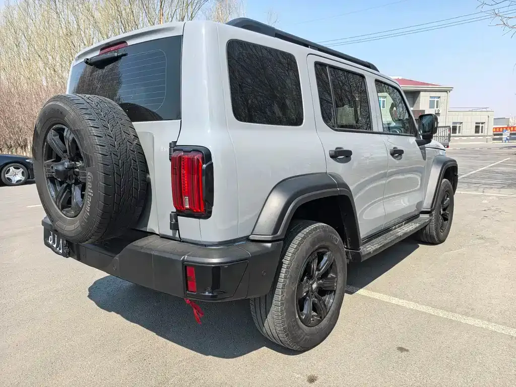 Tank 300 2025 из CN, фото 9