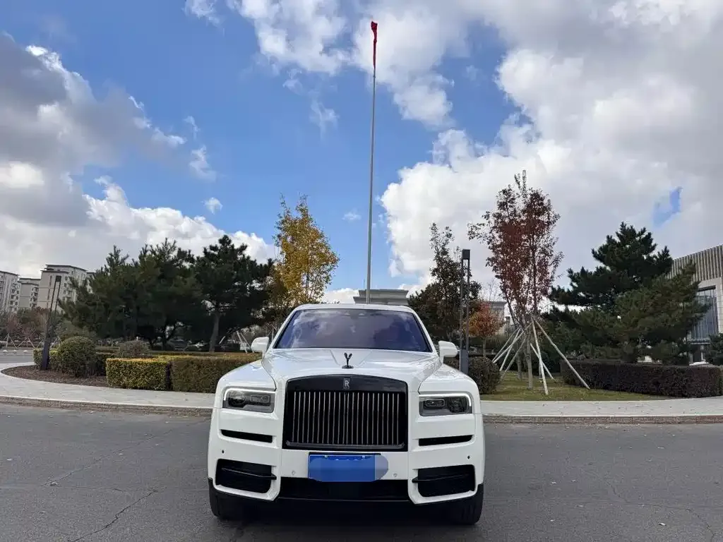 Rolls-Royce Cullinan 2021 из CN, фото 4