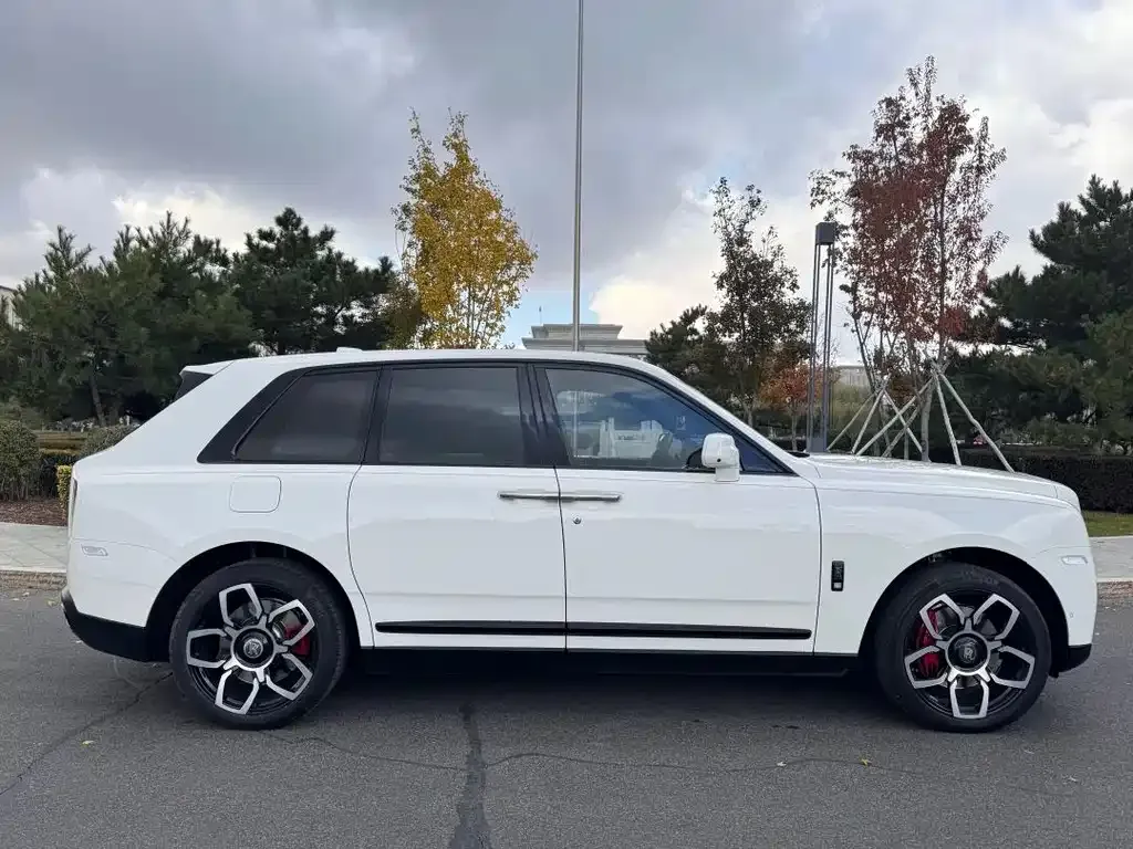 Rolls-Royce Cullinan 2021 из CN, фото 8