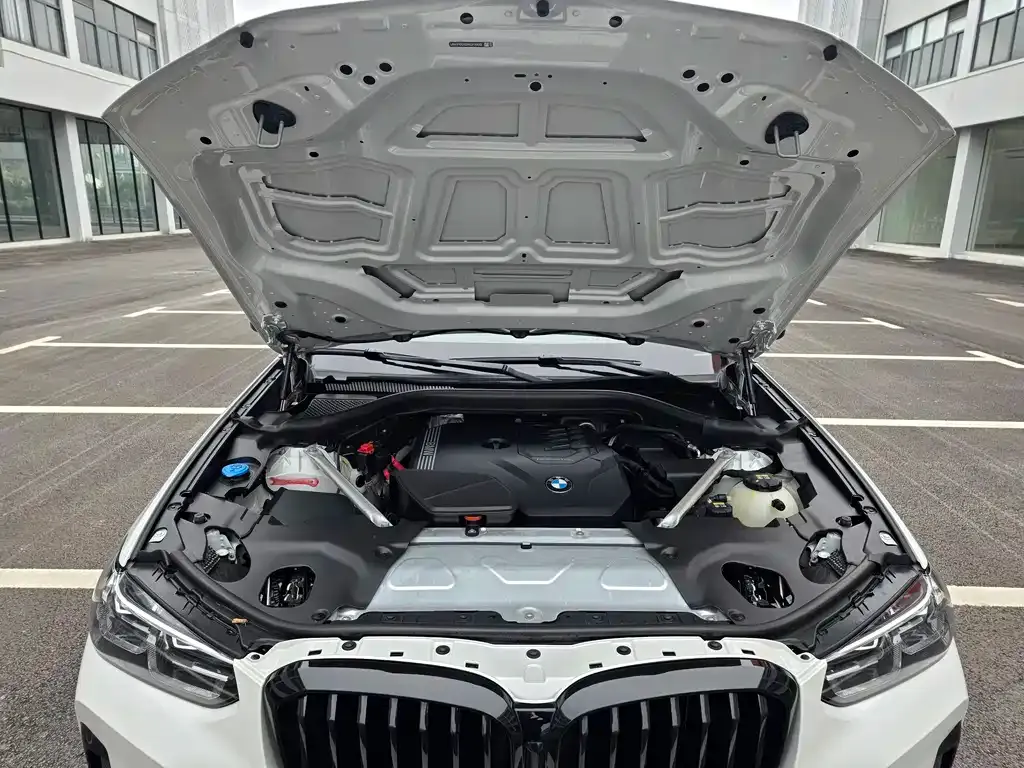 BMW X3 2022 из CN, фото 9
