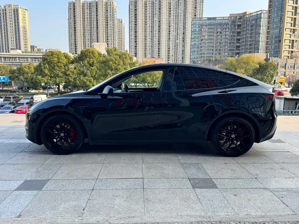 Tesla Model Y — фото 6