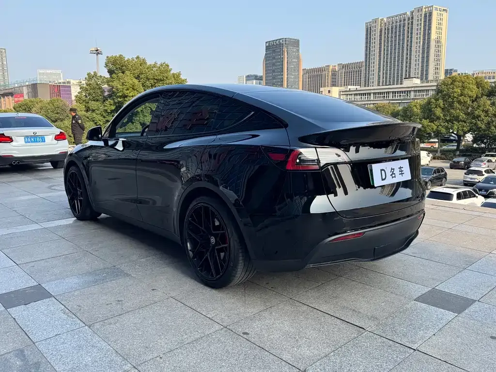 Tesla Model Y — фото 2