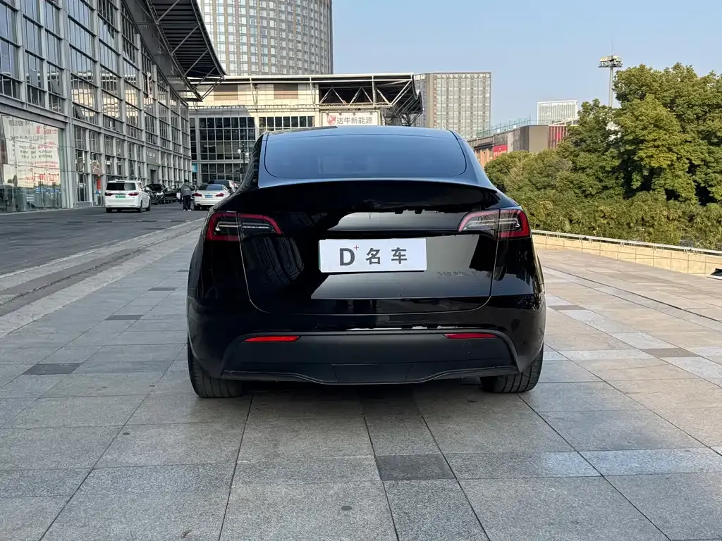 Tesla Model Y — фото 7